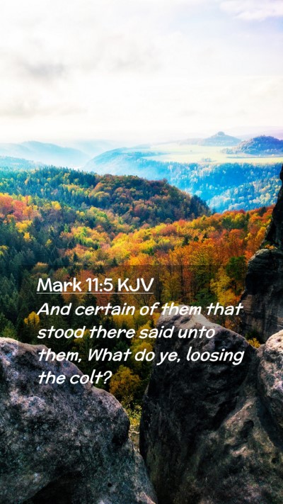 Picture 02 - Mark 11:5 KJV Mobile Phone Wallpaper - And certain of them that stood there said unto - Mobile Bible Verse Wallpaper