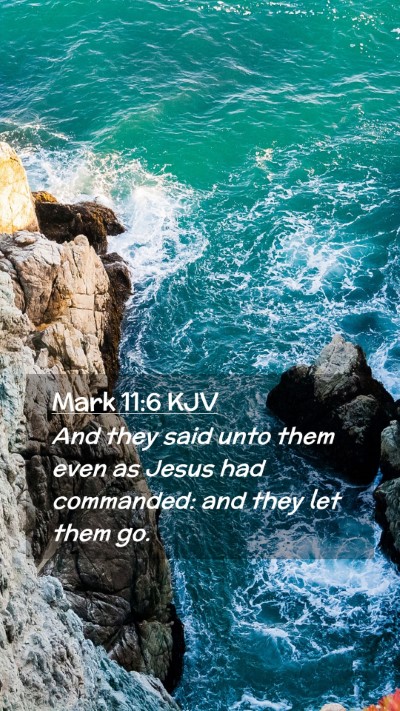 Picture 02 - Mark 11:6 KJV Mobile Phone Wallpaper - And they said unto them even as Jesus had - Mobile Bible Verse Wallpaper