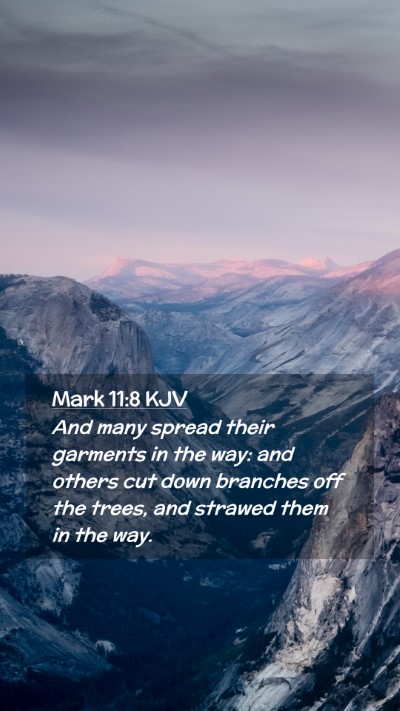 Picture 02 - Mark 11:8 KJV Mobile Phone Wallpaper - And many spread their garments in the way: and - Mobile Bible Verse Wallpaper