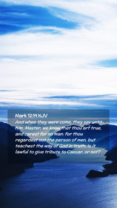 Picture 02 - Mark 12:14 KJV Mobile Phone Wallpaper - And when they were come, they say unto him, - Mobile Bible Verse Wallpaper