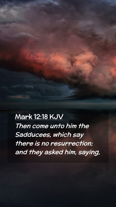 Picture 02 - Mark 12:18 KJV Mobile Phone Wallpaper - Then come unto him the Sadducees, which say there - Mobile Bible Verse Wallpaper