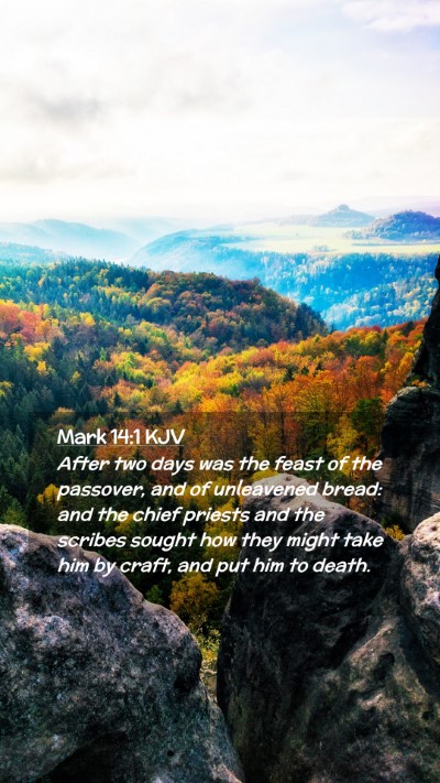 Picture 02 - Mark 14:1 KJV Mobile Phone Wallpaper - After two days was the feast of the passover, and - Mobile Bible Verse Wallpaper