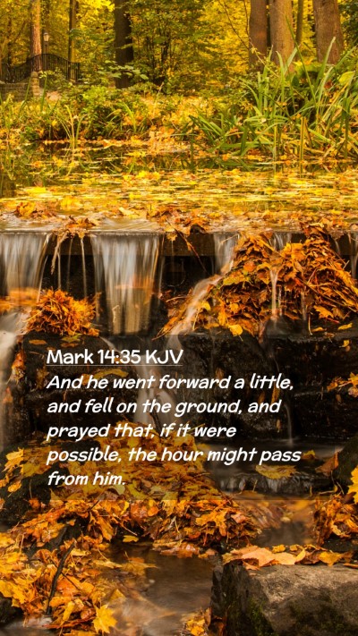 Picture 02 - Mark 14:35 KJV Mobile Phone Wallpaper - And he went forward a little, and fell on the - Mobile Bible Verse Wallpaper