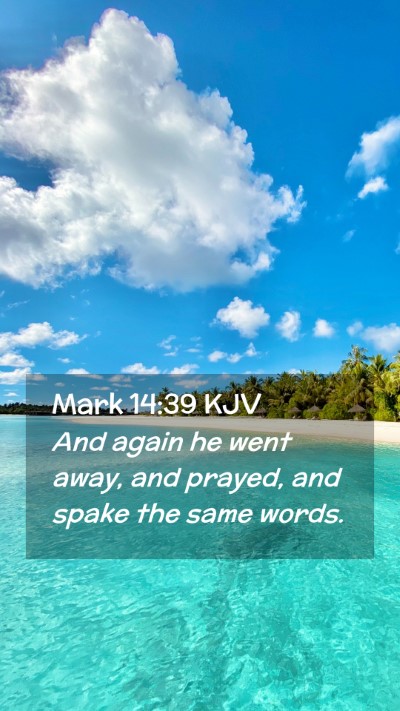 Picture 02 - Mark 14:39 KJV Mobile Phone Wallpaper - And again he went away, and prayed, and spake the - Mobile Bible Verse Wallpaper