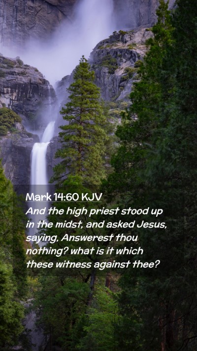 Picture 02 - Mark 14:60 KJV Mobile Phone Wallpaper - And the high priest stood up in the midst, and - Mobile Bible Verse Wallpaper
