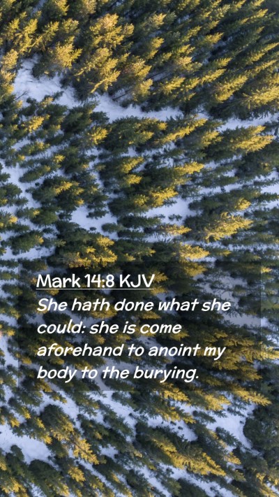 Picture 02 - Mark 14:8 KJV Mobile Phone Wallpaper - She hath done what she could: she is come - Mobile Bible Verse Wallpaper