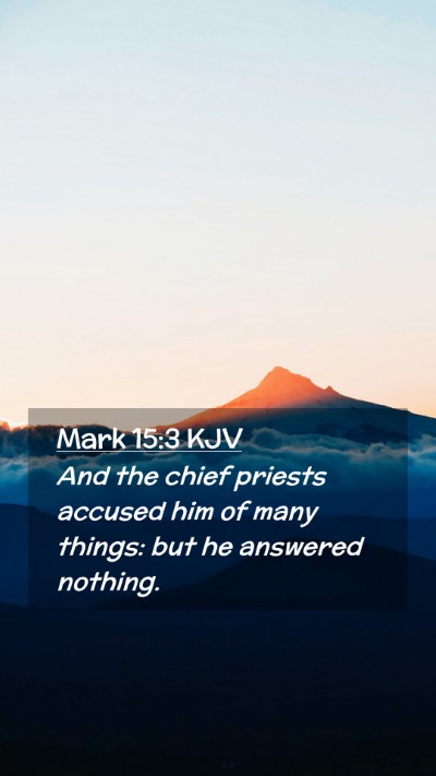 Picture 02 - Mark 15:3 KJV Mobile Phone Wallpaper - And the chief priests accused him of many things: - Mobile Bible Verse Wallpaper