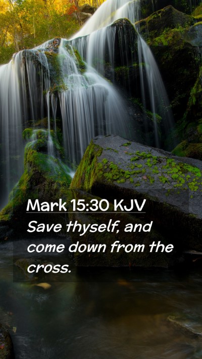 Picture 02 - Mark 15:30 KJV Mobile Phone Wallpaper - Save thyself, and come down from the - Mobile Bible Verse Wallpaper