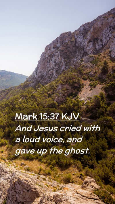 Picture 02 - Mark 15:37 KJV Mobile Phone Wallpaper - And Jesus cried with a loud voice, and gave up - Mobile Bible Verse Wallpaper