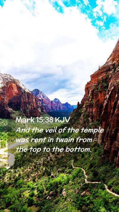 Picture 02 - Mark 15:38 KJV Mobile Phone Wallpaper - And the veil of the temple was rent in twain from - Mobile Bible Verse Wallpaper