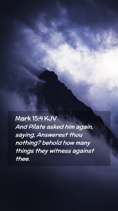 Picture 02 - Mark 15:4 KJV Mobile Phone Wallpaper - And Pilate asked him again, saying, Answerest - Mobile Bible Verse Wallpaper
