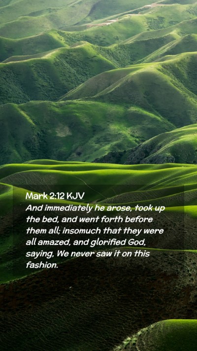 Picture 02 - Mark 2:12 KJV Mobile Phone Wallpaper - And immediately he arose, took up the bed, and - Mobile Bible Verse Wallpaper