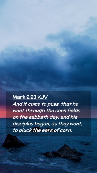 Picture 02 - Mark 2:23 KJV Mobile Phone Wallpaper - And it came to pass, that he went through the - Mobile Bible Verse Wallpaper