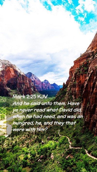 Picture 02 - Mark 2:25 KJV Mobile Phone Wallpaper - And he said unto them, Have ye never read what - Mobile Bible Verse Wallpaper