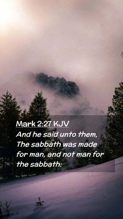 Picture 02 - Mark 2:27 KJV Mobile Phone Wallpaper - And he said unto them, The sabbath was made for - Mobile Bible Verse Wallpaper