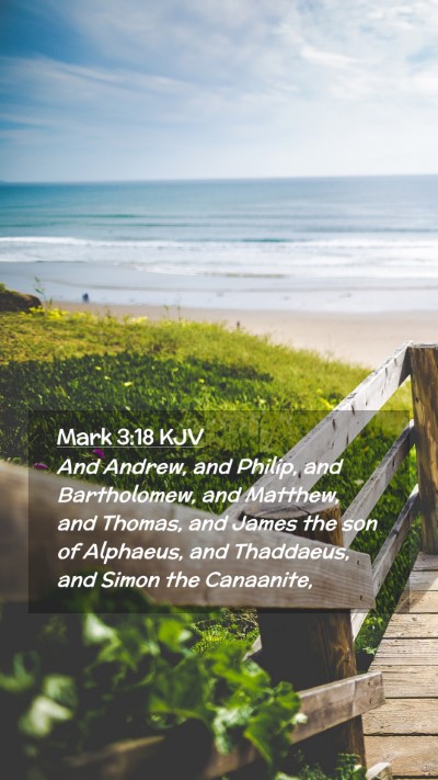 Picture 02 - Mark 3:18 KJV Mobile Phone Wallpaper - And Andrew, and Philip, and Bartholomew, and - Mobile Bible Verse Wallpaper