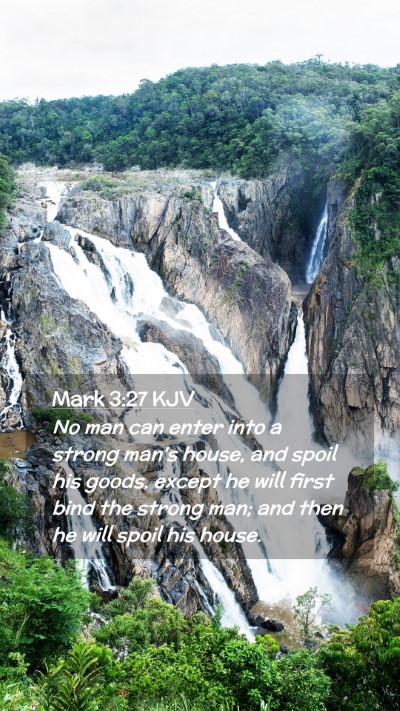 Picture 02 - Mark 3:27 KJV Mobile Phone Wallpaper - No man can enter into a strong man's house, and - Mobile Bible Verse Wallpaper