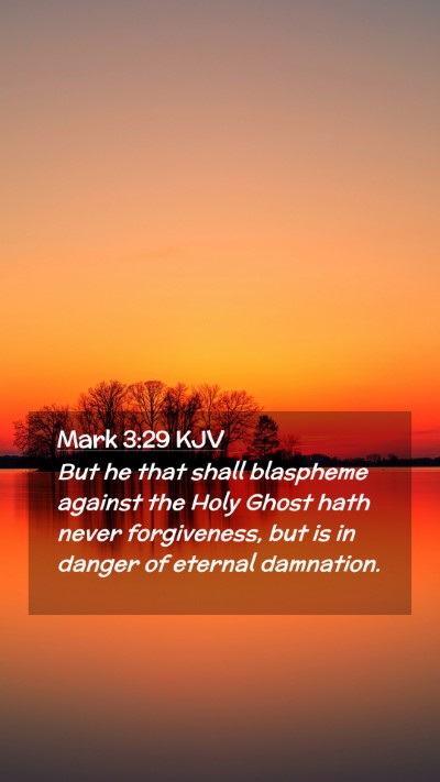 Picture 02 - Mark 3:29 KJV Mobile Phone Wallpaper - But he that shall blaspheme against the Holy - Mobile Bible Verse Wallpaper