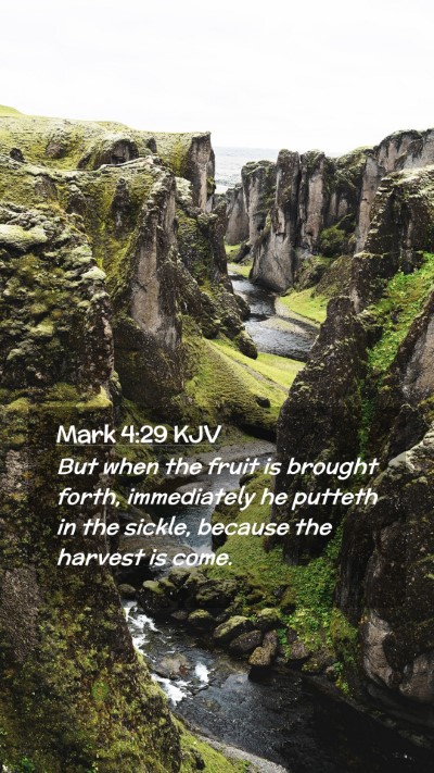 Picture 02 - Mark 4:29 KJV Mobile Phone Wallpaper - But when the fruit is brought forth, immediately - Mobile Bible Verse Wallpaper