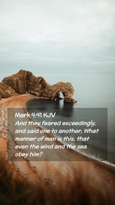 Picture 02 - Mark 4:41 KJV Mobile Phone Wallpaper - And they feared exceedingly, and said one to - Mobile Bible Verse Wallpaper