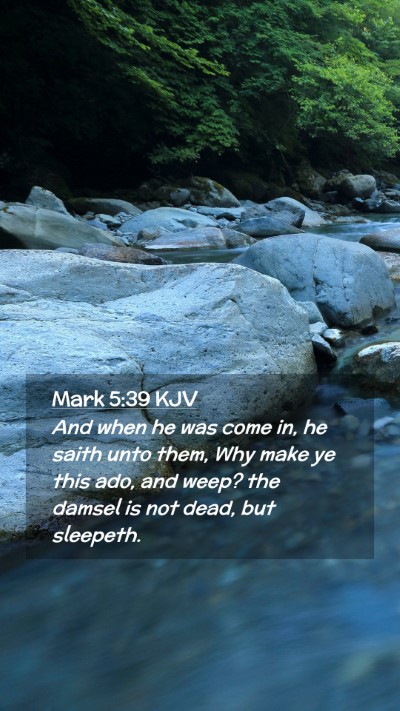 Picture 02 - Mark 5:39 KJV Mobile Phone Wallpaper - And when he was come in, he saith unto them, Why - Mobile Bible Verse Wallpaper
