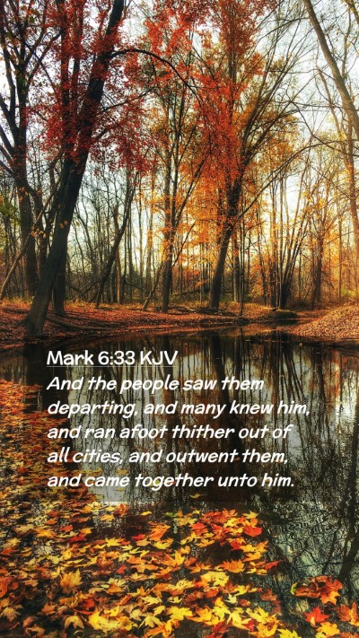 Picture 02 - Mark 6:33 KJV Mobile Phone Wallpaper - And the people saw them departing, and many knew - Mobile Bible Verse Wallpaper