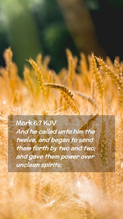 Picture 02 - Mark 6:7 KJV Mobile Phone Wallpaper - And he called unto him the twelve, and began to - Mobile Bible Verse Wallpaper