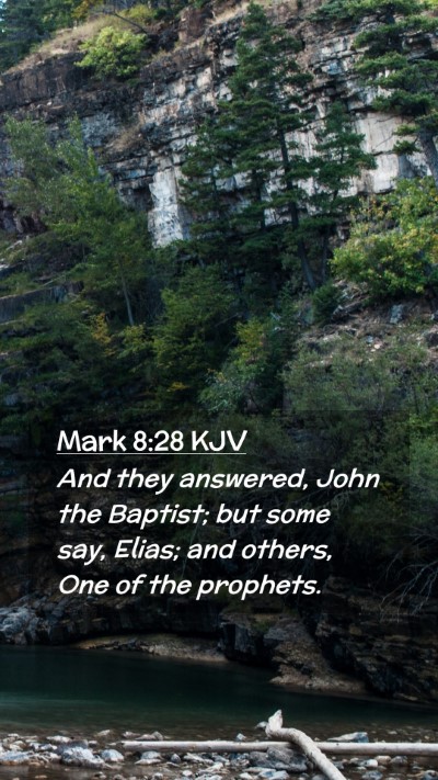 Picture 02 - Mark 8:28 KJV Mobile Phone Wallpaper - And they answered, John the Baptist; but some - Mobile Bible Verse Wallpaper
