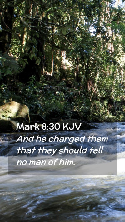 Picture 02 - Mark 8:30 KJV Mobile Phone Wallpaper - And he charged them that they should tell no man - Mobile Bible Verse Wallpaper