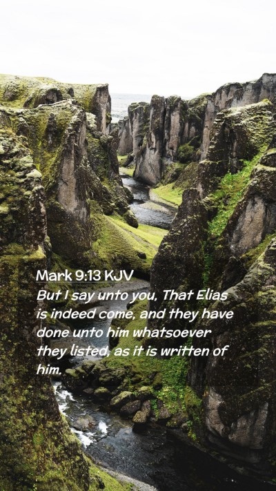 Picture 02 - Mark 9:13 KJV Mobile Phone Wallpaper - But I say unto you, That Elias is indeed come, - Mobile Bible Verse Wallpaper