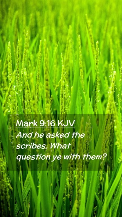 Picture 02 - Mark 9:16 KJV Mobile Phone Wallpaper - And he asked the scribes, What question ye with - Mobile Bible Verse Wallpaper
