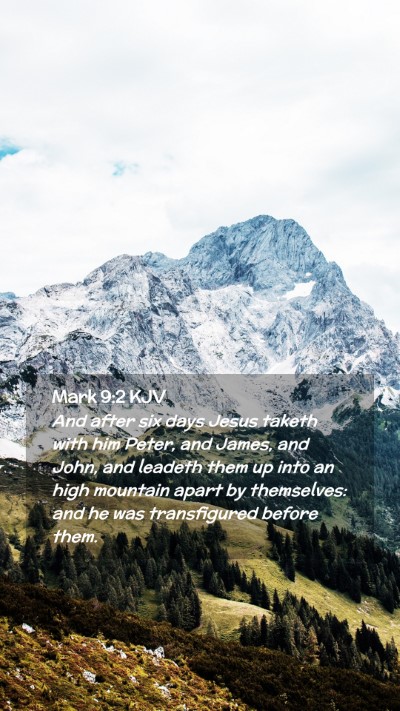 Picture 02 - Mark 9:2 KJV Mobile Phone Wallpaper - And after six days Jesus taketh with him Peter, - Mobile Bible Verse Wallpaper
