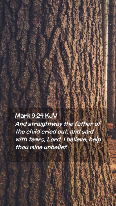 Picture 02 - Mark 9:24 KJV Mobile Phone Wallpaper - And straightway the father of the child cried - Mobile Bible Verse Wallpaper