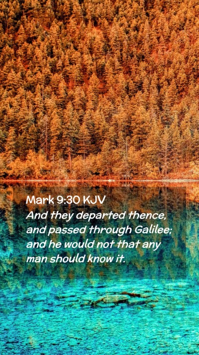 Picture 02 - Mark 9:30 KJV Mobile Phone Wallpaper - And they departed thence, and passed through - Mobile Bible Verse Wallpaper