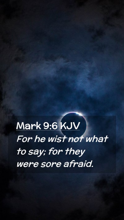 Picture 02 - Mark 9:6 KJV Mobile Phone Wallpaper - For he wist not what to say; for they were sore - Mobile Bible Verse Wallpaper