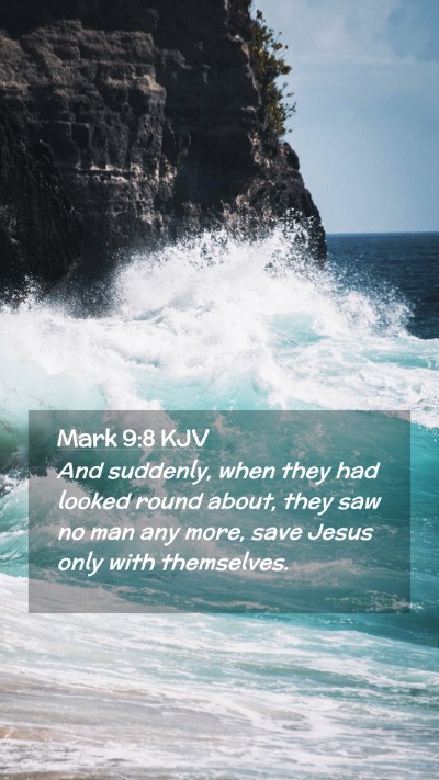 Picture 02 - Mark 9:8 KJV Mobile Phone Wallpaper - And suddenly, when they had looked round about, - Mobile Bible Verse Wallpaper