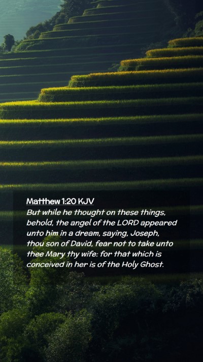 Picture 02 - Matthew 1:20 KJV Mobile Phone Wallpaper - But while he thought on these things, behold, the - Mobile Bible Verse Wallpaper