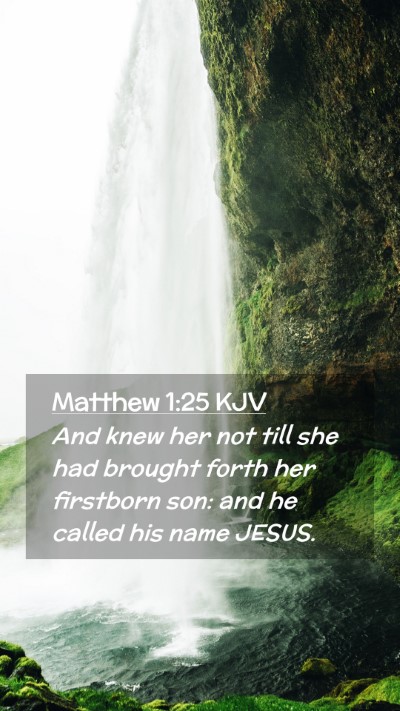 Picture 02 - Matthew 1:25 KJV Mobile Phone Wallpaper - And knew her not till she had brought forth her - Mobile Bible Verse Wallpaper