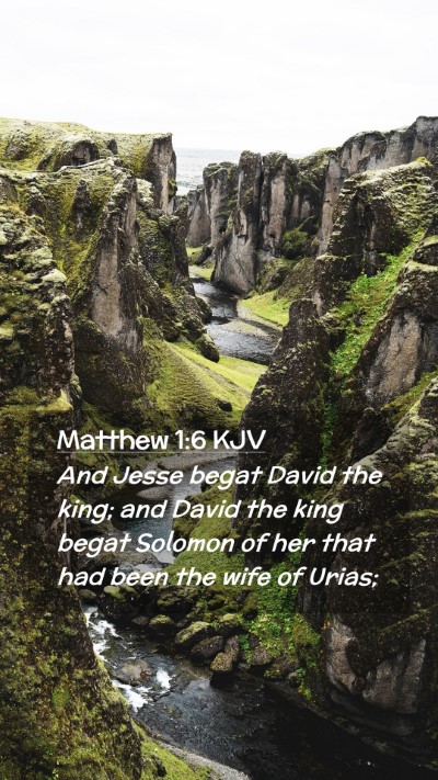 Picture 02 - Matthew 1:6 KJV Mobile Phone Wallpaper - And Jesse begat David the king; and David the - Mobile Bible Verse Wallpaper