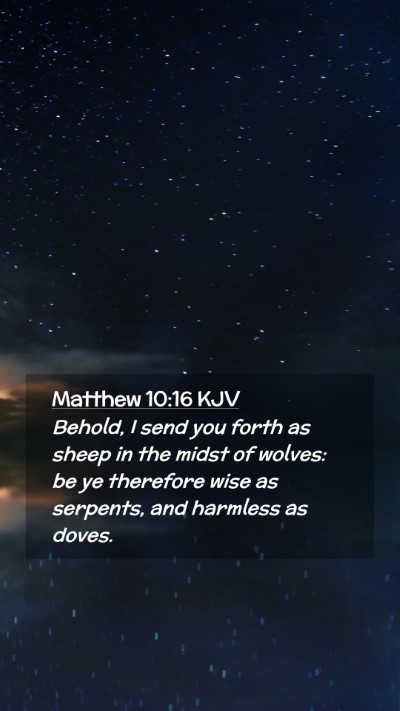 Picture 02 - Matthew 10:16 KJV Mobile Phone Wallpaper - Behold, I send you forth as sheep in the midst of - Mobile Bible Verse Wallpaper