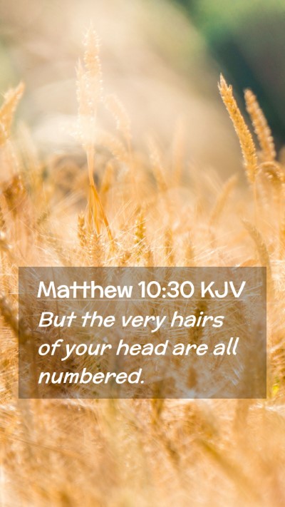 Picture 02 - Matthew 10:30 KJV Mobile Phone Wallpaper - But the very hairs of your head are all - Mobile Bible Verse Wallpaper