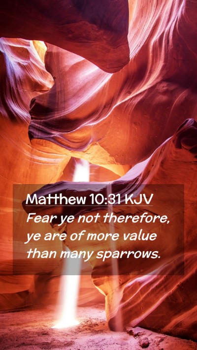 Picture 02 - Matthew 10:31 KJV Mobile Phone Wallpaper - Fear ye not therefore, ye are of more value than - Mobile Bible Verse Wallpaper