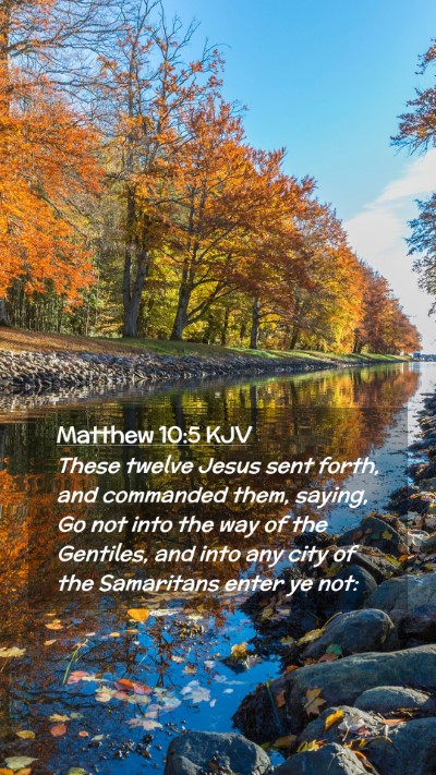 Picture 02 - Matthew 10:5 KJV Mobile Phone Wallpaper - These twelve Jesus sent forth, and commanded - Mobile Bible Verse Wallpaper