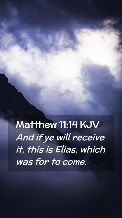 Picture 02 - Matthew 11:14 KJV Mobile Phone Wallpaper - And if ye will receive it, this is Elias, which - Mobile Bible Verse Wallpaper