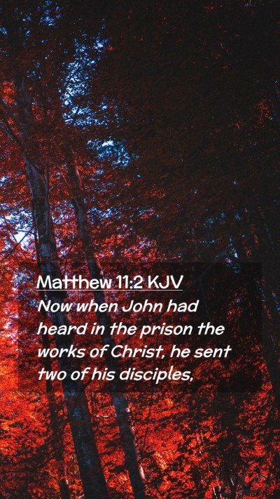 Picture 02 - Matthew 11:2 KJV Mobile Phone Wallpaper - Now when John had heard in the prison the works - Mobile Bible Verse Wallpaper