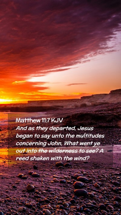 Picture 02 - Matthew 11:7 KJV Mobile Phone Wallpaper - And as they departed, Jesus began to say unto the - Mobile Bible Verse Wallpaper