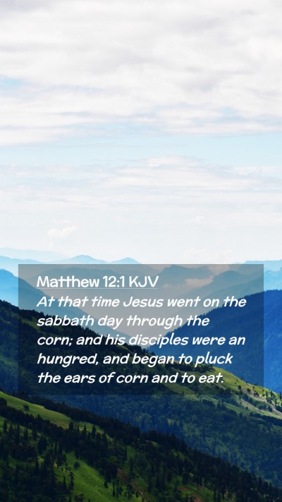 Picture 02 - Matthew 12:1 KJV Mobile Phone Wallpaper - At that time Jesus went on the sabbath day - Mobile Bible Verse Wallpaper
