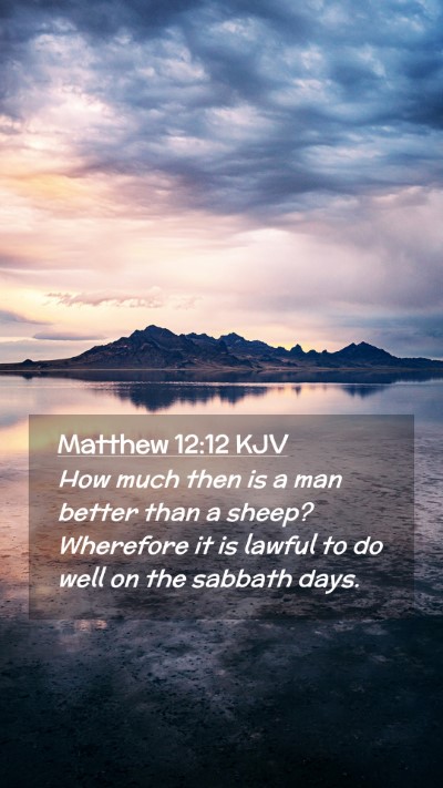 Picture 02 - Matthew 12:12 KJV Mobile Phone Wallpaper - How much then is a man better than a sheep? - Mobile Bible Verse Wallpaper