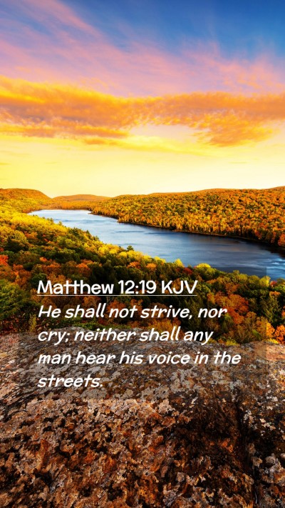 Picture 02 - Matthew 12:19 KJV Mobile Phone Wallpaper - He shall not strive, nor cry; neither shall any - Mobile Bible Verse Wallpaper