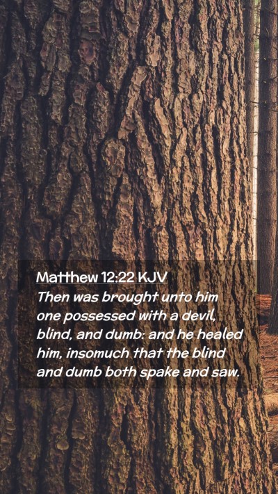 Picture 02 - Matthew 12:22 KJV Mobile Phone Wallpaper - Then was brought unto him one possessed with a - Mobile Bible Verse Wallpaper